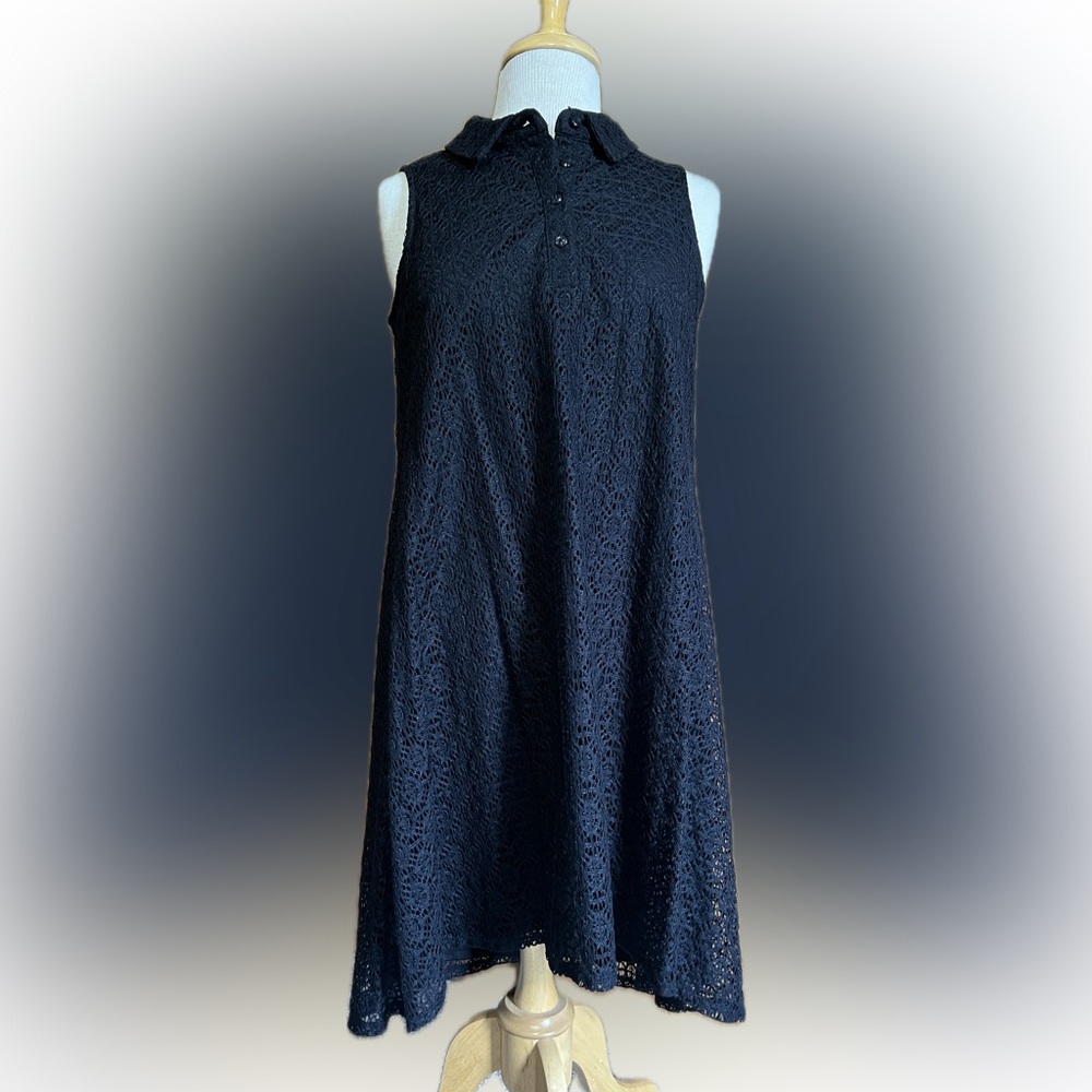 Dana Buchman Sleeveless Lace Lined Dress